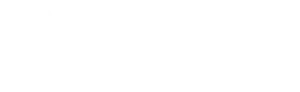 Swaarm Integration with Fraud Prevention Software